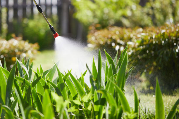 Tamper-Resistant Bait Stations for Rodents in Airmont